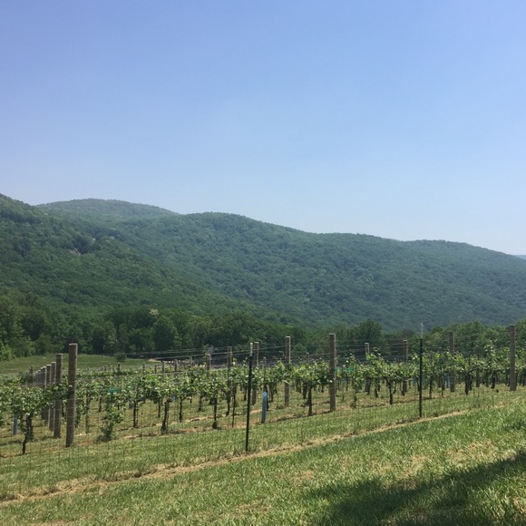 Meet your Posher, Kerri - Picture 1 of 1